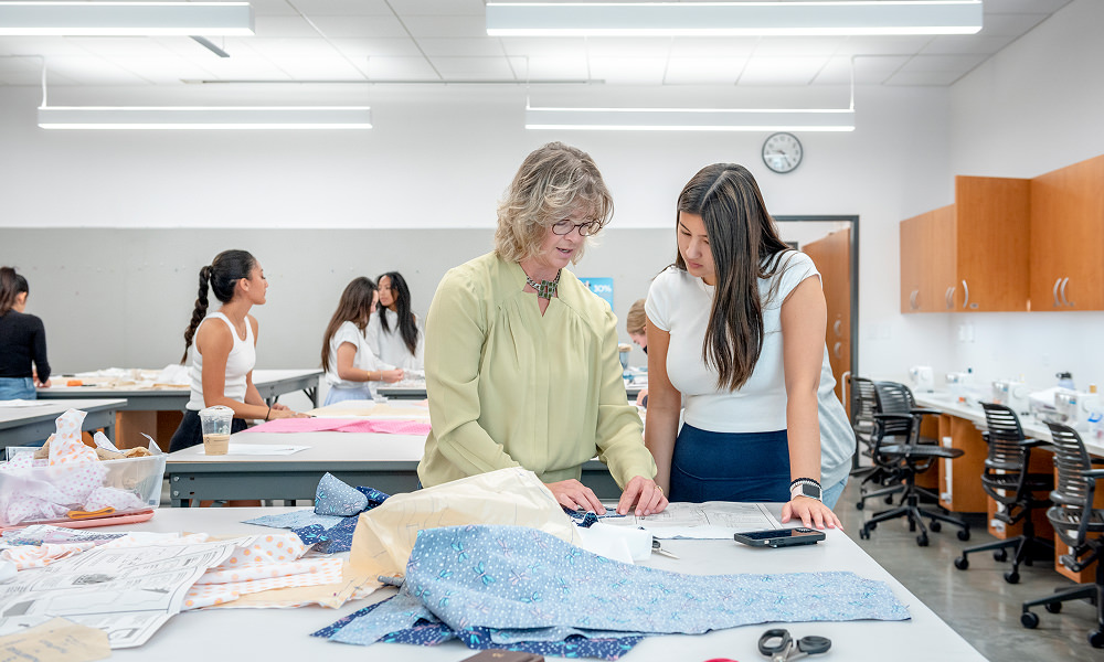 Faculty member and student in classroom.