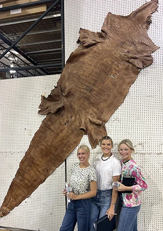 Cate and two other interns stand in front of a tanned alligator hide